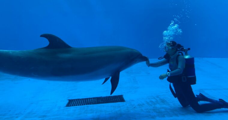 上越市立水族博物館 うみがたり